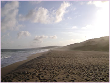 Long stretch of peaceful Zimbali Beach